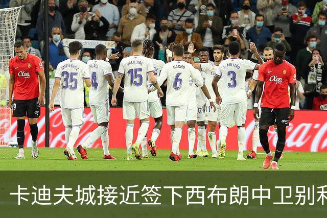 卡迪夫城接近签下西布朗中卫别利克，28岁波兰国脚或成夏窗第四援